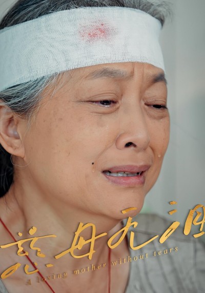 热门短剧《慈母无泪（30集）》 最新全集完整版免费在线观看播放未删减版资源，短剧百度网盘夸克网盘免费资源分享下载