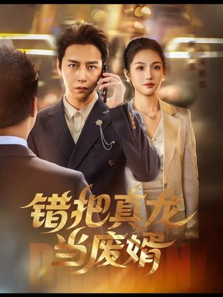 热门短剧《错把真龙当赘婿（62集）》 全集完整版免费在线播放观看未删减版资源，短剧百度网盘夸克网盘免费资源分享下载  第1张