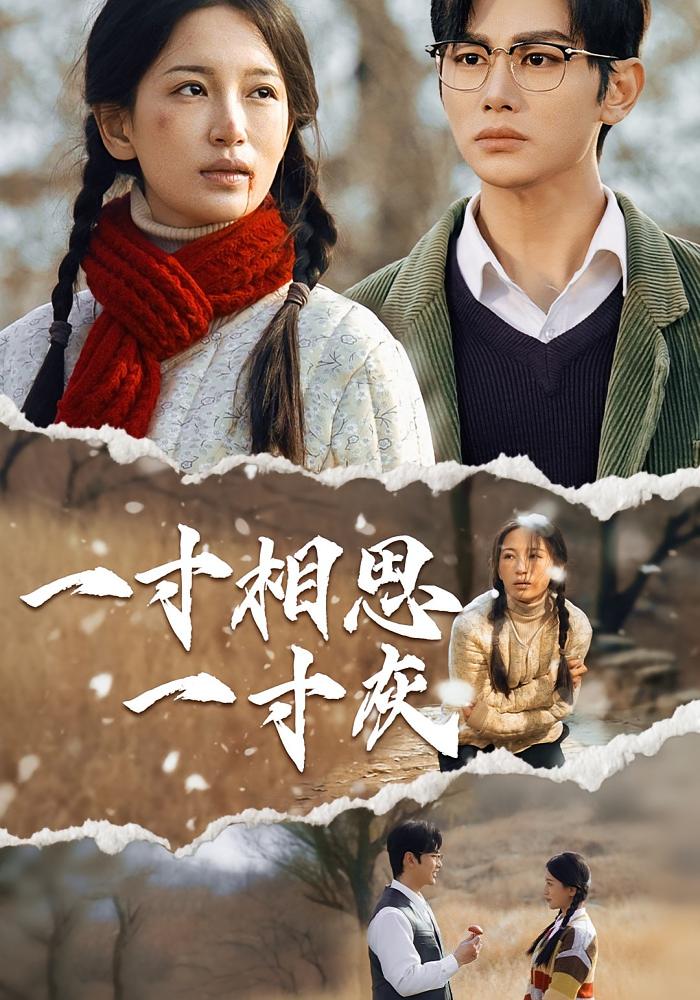 热门短剧《一寸相思一寸灰（43集）》 全集完整版高清免费在线观看播放未删减版资源，短剧百度网盘夸克网盘免费资源分享下载