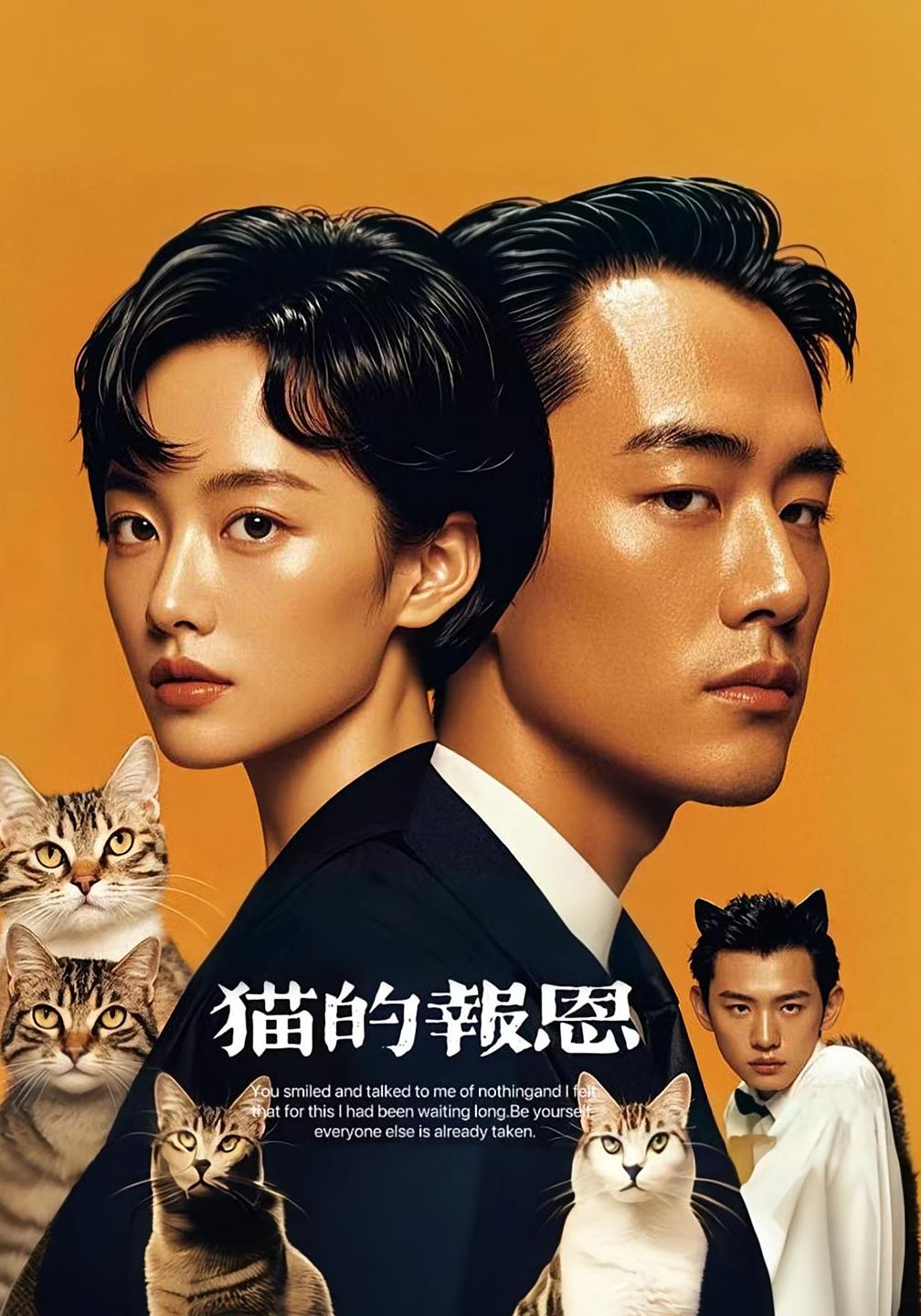 热门短剧《猫的报恩（60集）》 全集完整版免费播放在线观看未删减版资源，短剧百度网盘夸克网盘免费资源分享下载