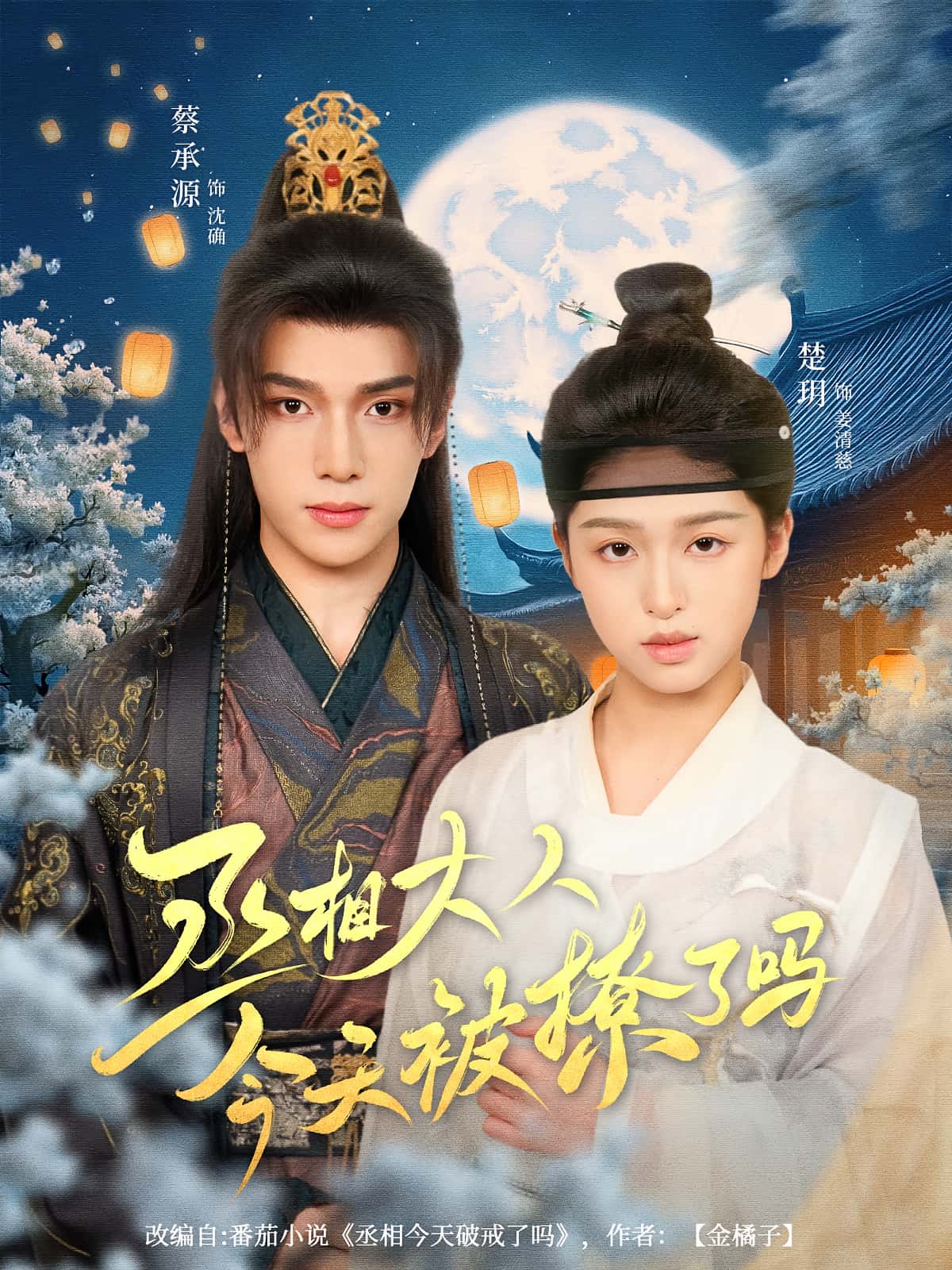 热门短剧《丞相大人今天被撩了吗（80集）楚玥&蔡承源》 全集完整版免费无卡顿在线观看播放未删减版资源，短剧百度网盘夸克网盘免费资源分享下载
