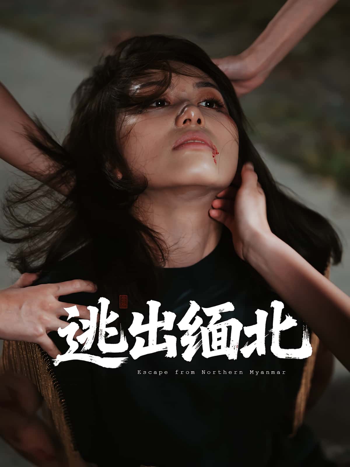 热门短剧《逃出缅北（62集）刘振安&汪芷萱》 全集完整版免费在线观看播放未删减版资源，短剧百度网盘夸克网盘免费资源下载分享