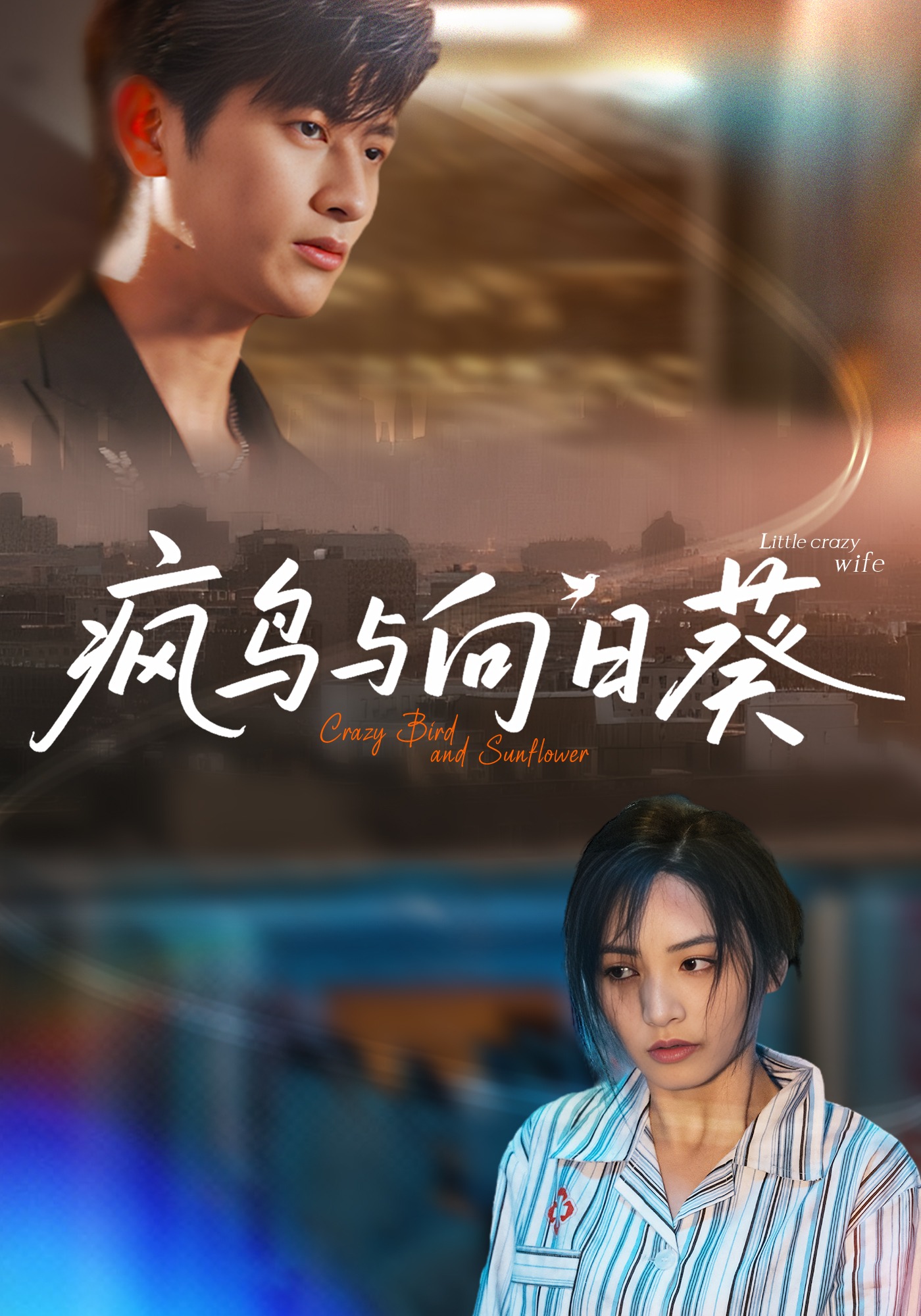 热门短剧《疯鸟与向日葵（40集）韩叙&李虹艺》 全集完整版免费在线观看播放未删减版资源，短剧百度网盘夸克网盘免费资源分享下载  第1张