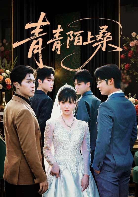 热门短剧《青青陌上桑（70集）》 全集完整版免费在线播放观看未删减版资源，短剧百度网盘夸克网盘免费资源分享下载  第1张
