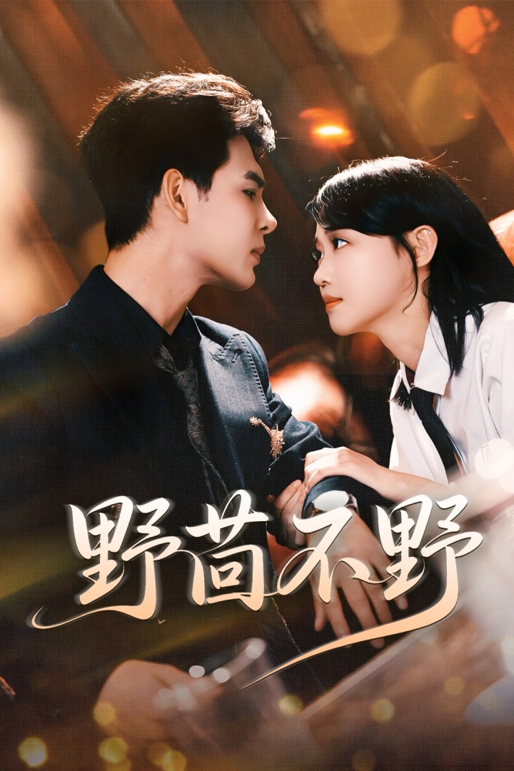 热门短剧《野茴不野（67集）靳旺＆龚芳妮》 全集完整版超清免费在线观看播放未删减版资源，短剧百度网盘夸克网盘免费资源分享下载  第1张