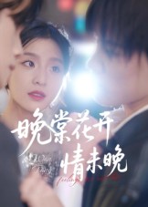 热门短剧《晚棠花开情未晚（30集）马嘉铭&刘灵灿》 全集完整版免费无水印在线观看播放未删减版资源，短剧百度网盘夸克网盘免费资源分享下载  第1张
