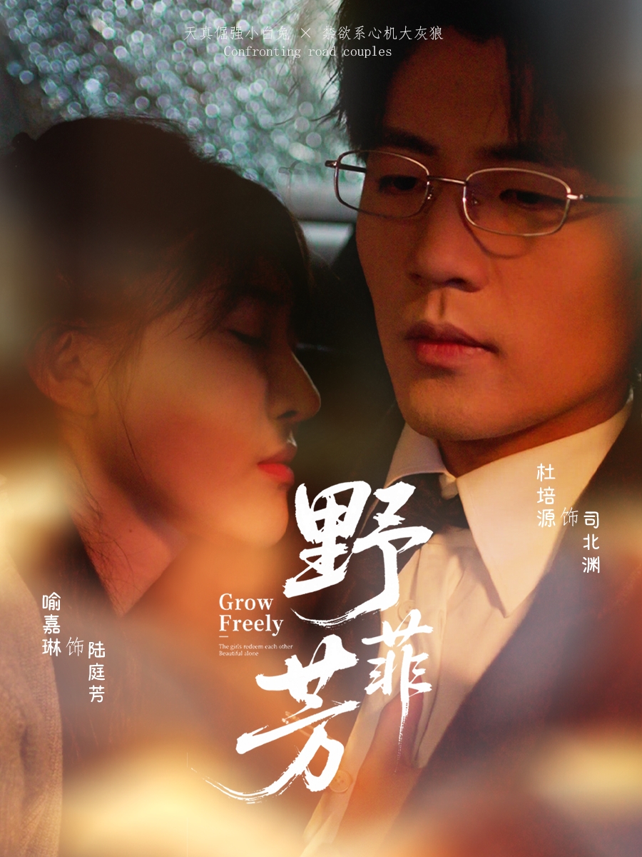 热门短剧《野芳菲（60集）喻嘉琳＆杜培源》 全集完整版免费在线观看播放未删减版资源，短剧百度网盘夸克网盘资源免费分享下载  第1张