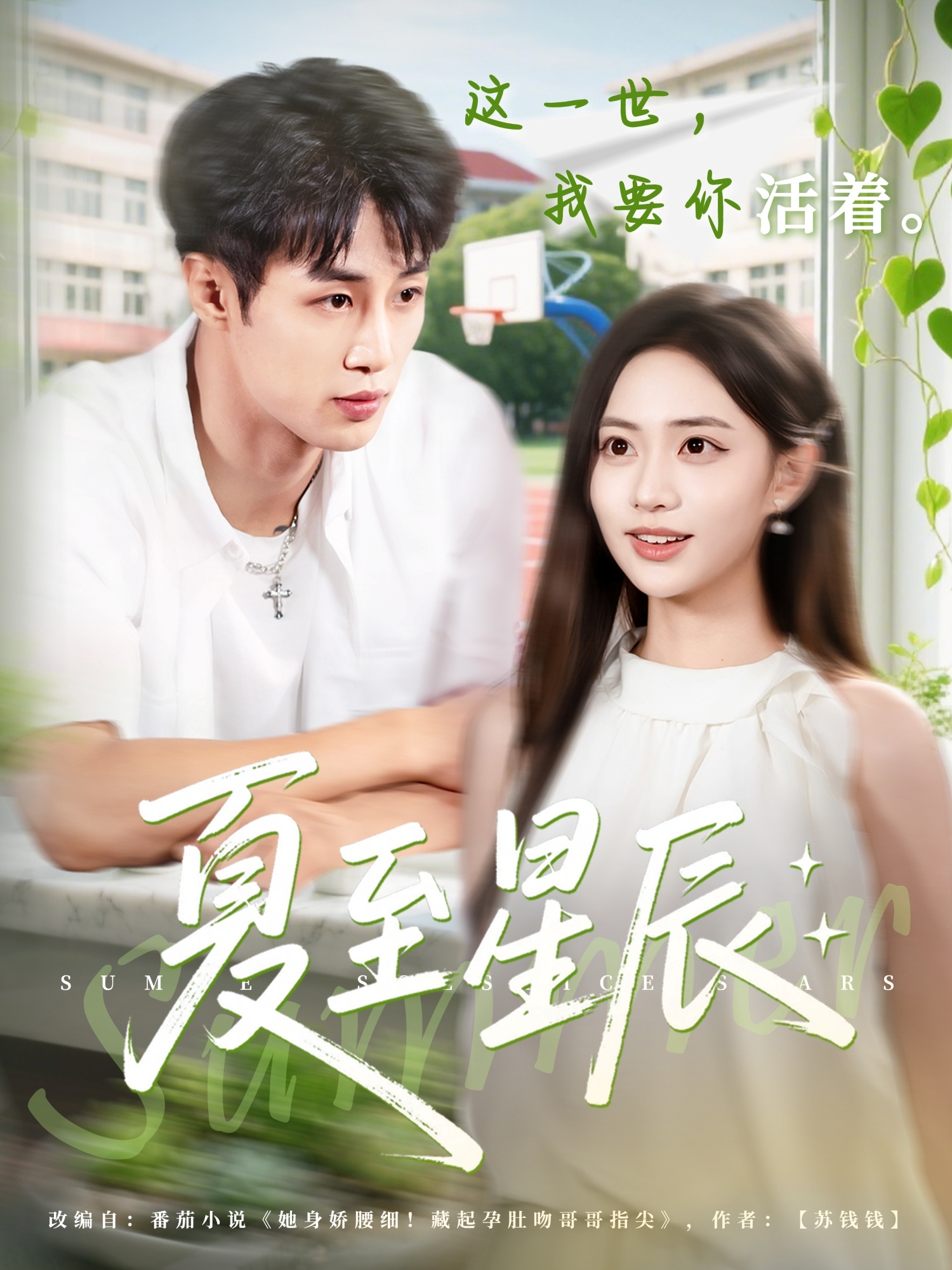 热门短剧《夏至星辰（54集）申琦＆黄也玶》 全集完整版免费观看在线播放未删减版资源，短剧百度网盘夸克网盘免费资源分享下载  第1张