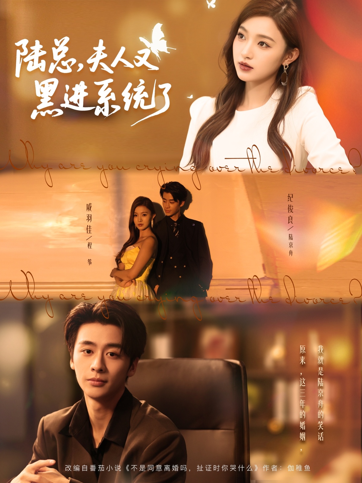 热门短剧《陆总夫人又黑进系统了（81集）纪俊良＆戚羽佳》 全集完整版免费无广告在线观看播放未删减版资源，短剧百度网盘夸克网盘免费资源分享下载  第1张