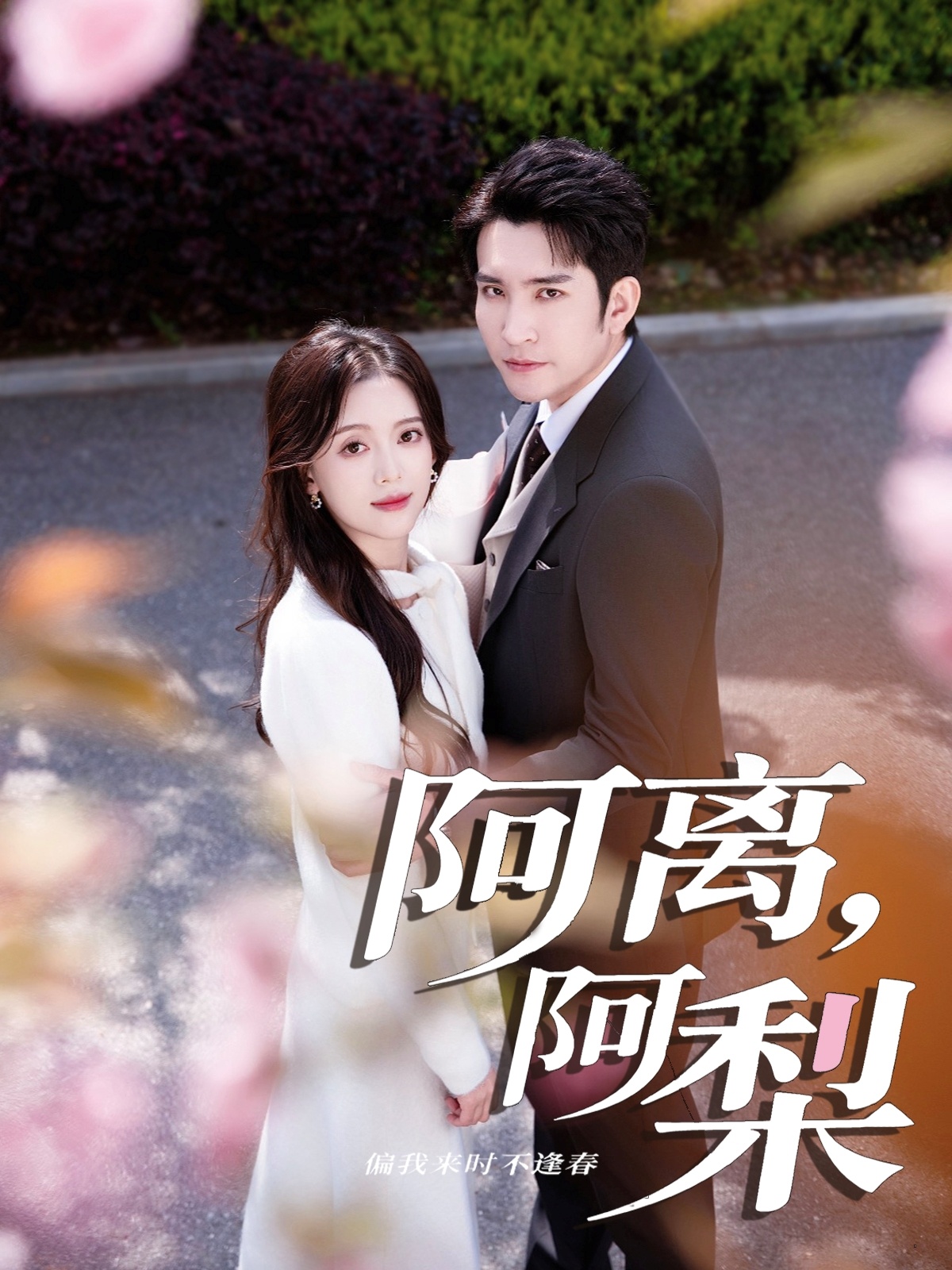 热门短剧《阿离阿梨（60集）王已歌＆唐敬》 全集完整版免费在线播放观看未删减版资源，短剧百度网盘夸克网盘免费资源分享下载  第1张