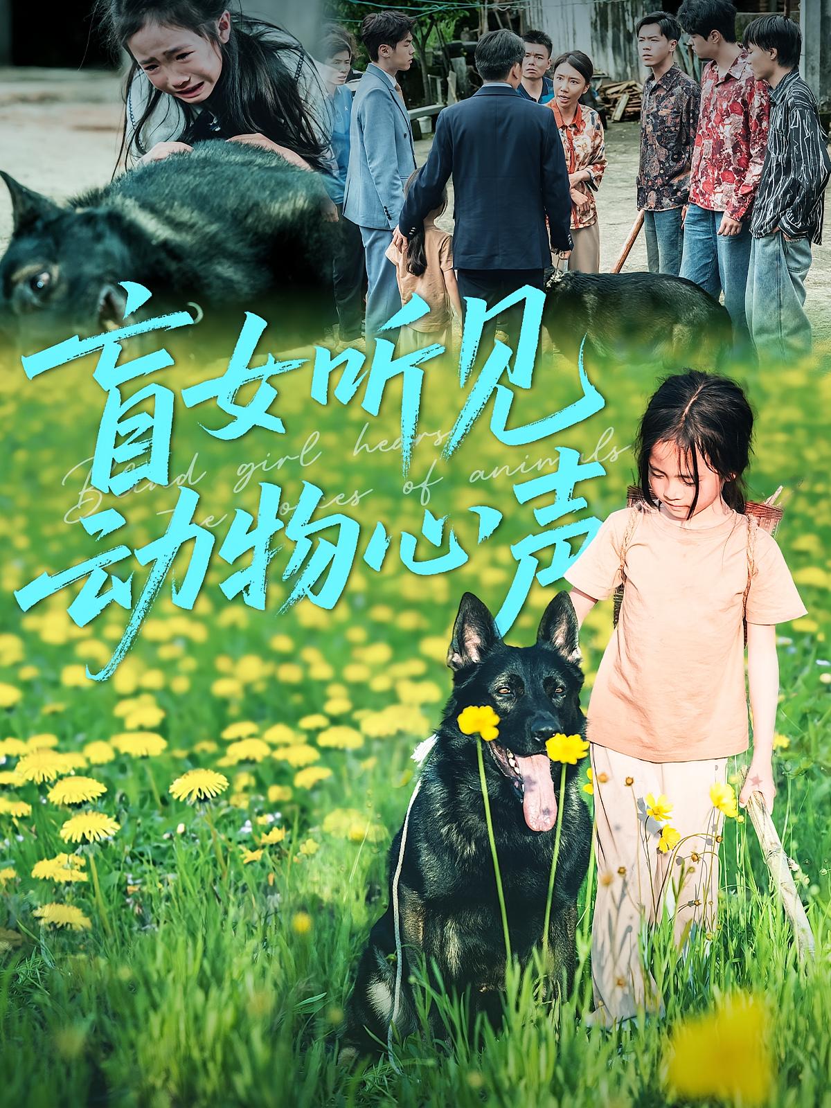 热门短剧《盲女听见动物心声（61集）》 全集完整版免费在线观看播放未删减版资源，短剧百度网盘夸克网盘免费分享资源下载  第1张