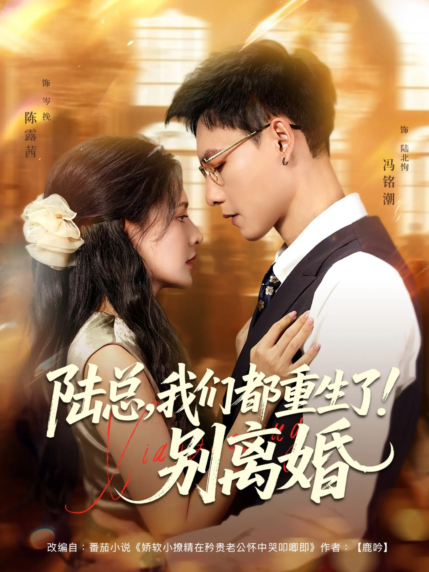 热门短剧《陆总我们都重生了别离婚（79集）冯铭潮&陈露茜》 全集完整版免费在线播放观看未删减版资源，短剧百度网盘夸克网盘免费资源分享下载  第1张
