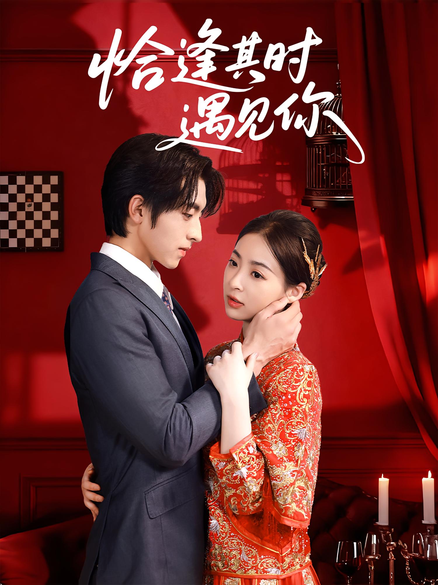 热门短剧《恰逢其时遇见你（60集）马世纪&朱静》 全集完整版免费在线观看播放未删减版资源，短剧百度网盘夸克网盘免费资源分享下载  第1张