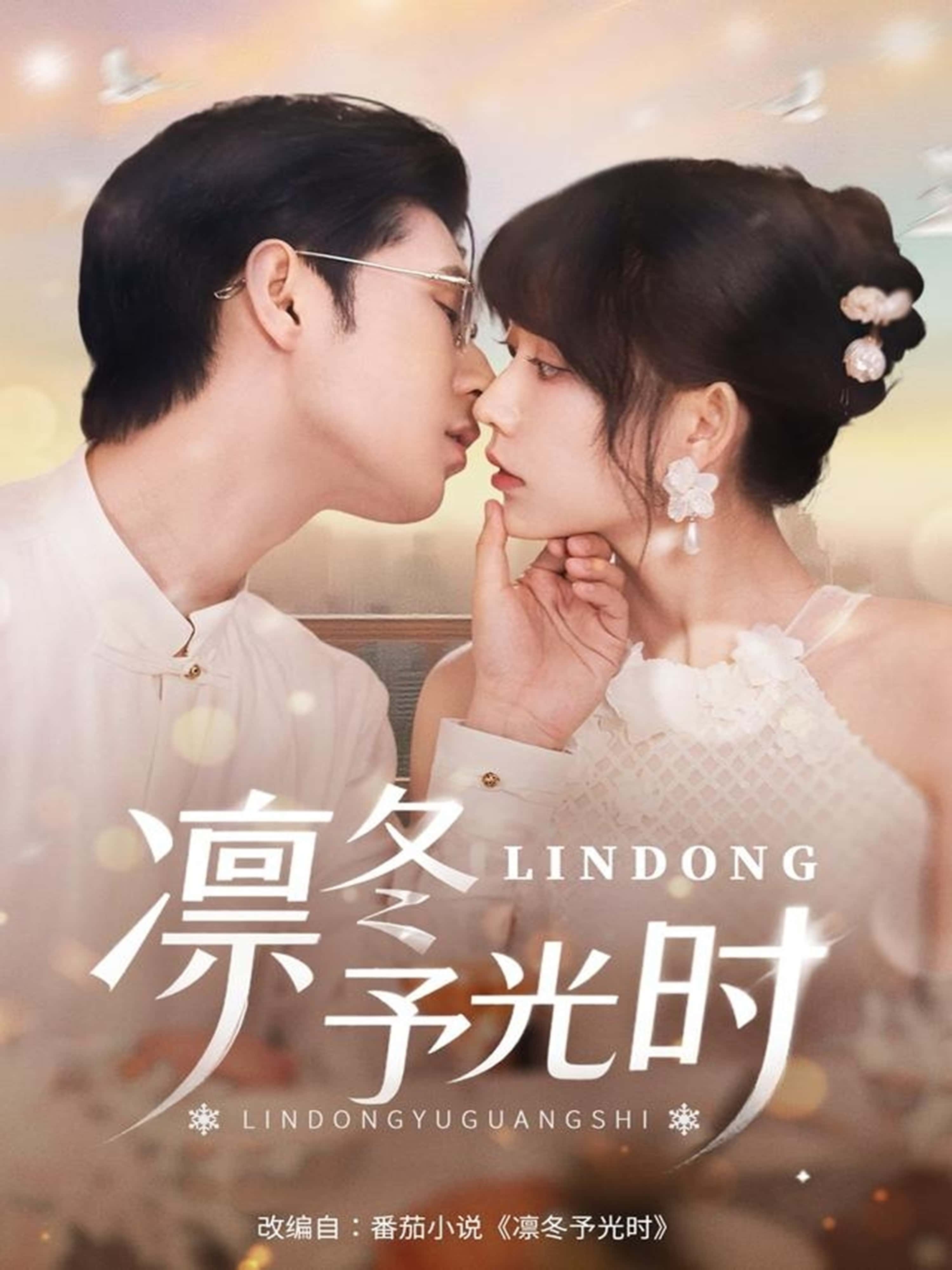 热门短剧《凛冬予光时（60集）李河源&盛晨》 全集完整版免费无卡顿在线观看播放未删减版资源，短剧百度网盘夸克网盘免费资源分享下载  第1张