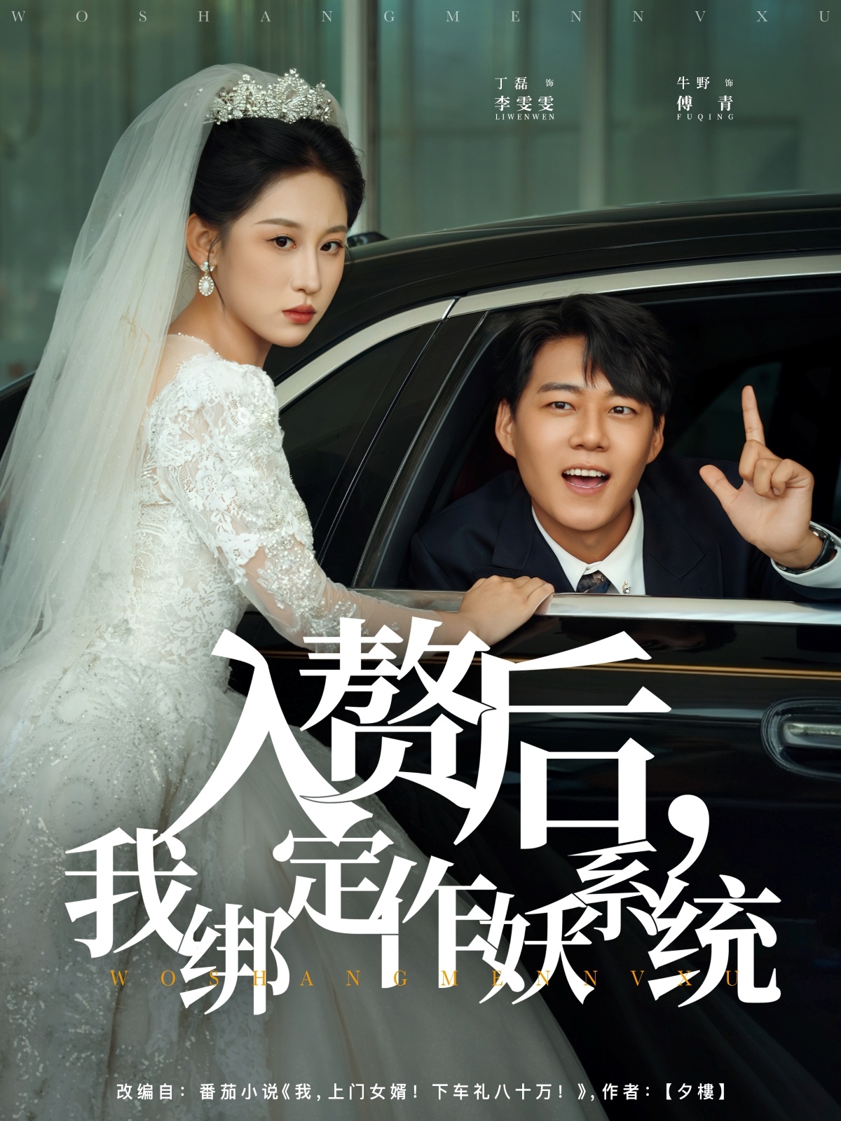 热门短剧《入赘后我绑定作妖系统（81集）丁磊&牛野》 全集完整版高清免费在线观看播放未删减版资源，短剧百度网盘夸克网盘免费资源分享下载  第1张