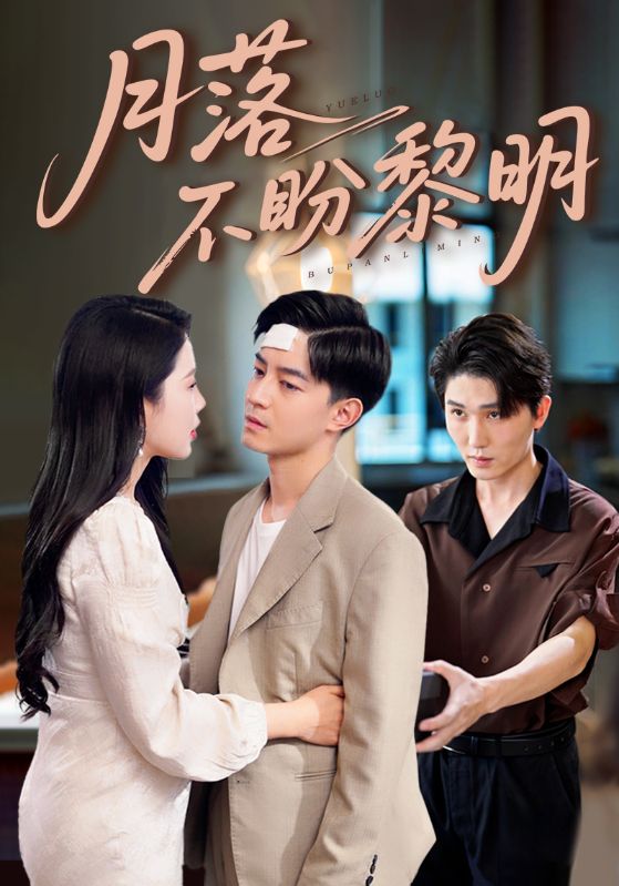热门短剧《月落不盼黎明（64集）丁海霞&贺龙天》 全集完整版免费无需注册在线观看播放未删减版资源，短剧百度网盘夸克网盘免费资源分享下载  第1张