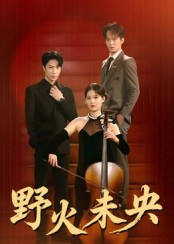 热门短剧《野火未央（40集）张旭&刘畅》 全集完整版免费在线观看播放未删减版资源，短剧百度网盘夸克网盘免费资源秒存分享下载  第1张