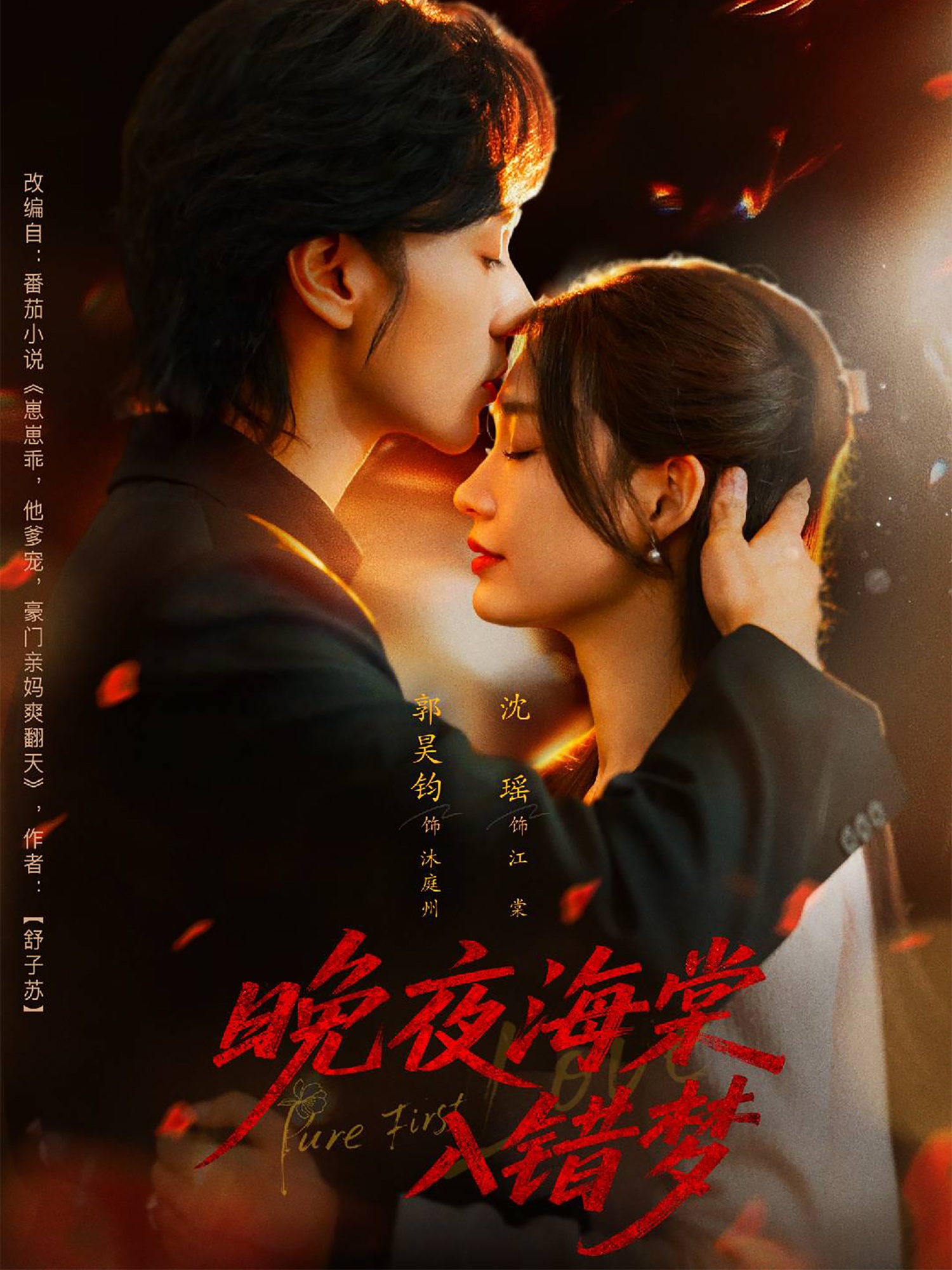 热门短剧《晚夜海棠入错梦（80集）郭昊钧＆沈瑶》 最新全集完整版免费在线观看播放未删减版资源，短剧百度网盘夸克网盘免费资源分享下载  第1张
