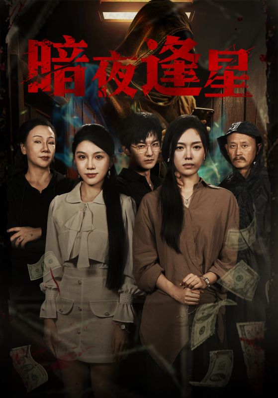 热门短剧《暗夜逢星（67集）王泽轩&陈墁柯》 全集完整版免费无水印在线观看播放未删减版资源，短剧百度网盘夸克网盘免费资源分享下载  第1张