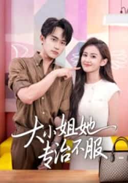 热门短剧《大小姐她专治不服（51集）李永臻&刘心宇》 全集完整版免费无广告在线观看播放未删减版资源，短剧百度网盘夸克网盘免费资源分享下载  第1张