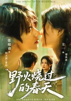热门短剧《野火烧过的春天（85集）张庭睿＆左一》 全集完整版免费在线观看播放未删减版资源，短剧百度网盘夸克网盘免费资源分享下载  第1张