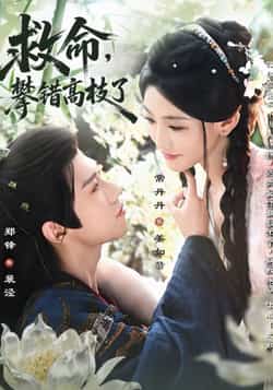 热门短剧《救命，攀错高枝了（70集）郑锋，常丹丹》 全集完整版免费在线观看播放未删减版资源，短剧百度网盘夸克网盘免费资源秒存分享下载  第1张