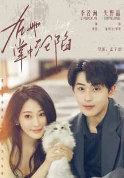热门短剧《在她掌中沦陷（50集）李若洵，失野晶》 全集完整版免费在线观看播放未删减版资源，短剧百度网盘夸克网盘免费资源速存分享下载  第1张