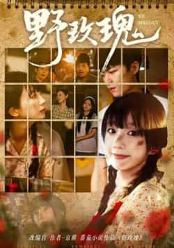 热门短剧《野玫瑰（82集）钊瑞，象韵洁》 全集完整版免费在线观看播放未删减版资源，短剧百度网盘夸克网盘免费分享资源下载  第1张