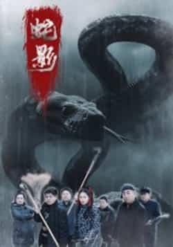热门短剧《蛇影（25集）刘灵，闫一英》 全集完整版免费在线观看播放未删减版资源，短剧百度网盘夸克网盘免费资源下载分享  第1张