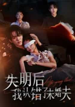 热门短剧《失明后我认错了未婚夫》 全集完整版高清免费在线观看播放未删减版资源，短剧百度网盘夸克网盘免费资源分享下载
