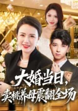 热门短剧《大婚当日,卖桃养母震翻全场》 全集完整版实时更新免费在线观看播放未删减版资源,短剧百度网盘夸克网盘免费资源分享下载