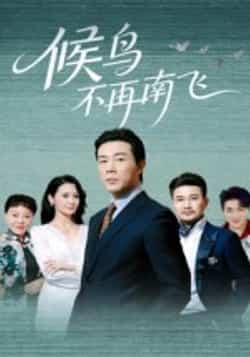 热门短剧《候鸟不再南飞》 全集完整版免费无卡顿在线观看播放未删减版资源,短剧百度网盘夸克网盘免费资源分享下载