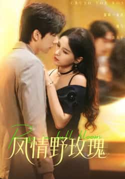 热门短剧《风情野玫瑰》 全集完整版免费无广告在线观看播放未删减版资源，短剧百度网盘夸克网盘免费资源分享下载  第1张