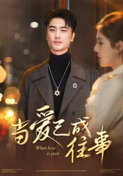 热门短剧《当爱已成往事》 全集完整版免费在线观看播放未删减版资源,短剧百度网盘夸克网盘免费资源秒存分享下载