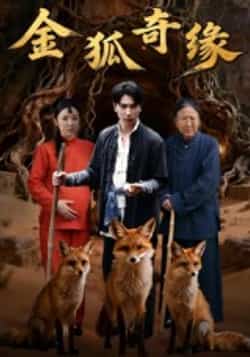 热门短剧《金狐奇缘》 全集完整版免费无水印在线观看播放未删减版资源,短剧百度网盘夸克网盘免费资源分享下载 第1张 热门短剧《金狐奇缘》 全集完整版免费无水印在线观看播放未删减版资源,短剧百度网盘夸克网盘免费资源分享下载 第1张