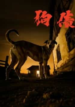 热门短剧《狗债》 全集完整版免费播放在线观看未删减版资源，短剧百度网盘夸克网盘免费资源分享下载  第1张