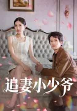 热门短剧《追妻小少爷》 全集完整版极速免费在线观看播放未删减版资源，短剧百度网盘夸克网盘免费资源分享下载