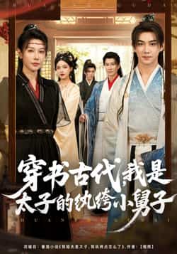 热门短剧《穿书古代，我是太子的纨绔小舅子》 全集完整版纯净免费在线观看播放未删减版资源，短剧百度网盘夸克网盘免费资源分享下载