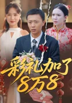 热门短剧《彩礼加了8万8》 全集完整版纯净免费在线观看播放未删减版资源,短剧百度网盘夸克网盘免费资源分享下载