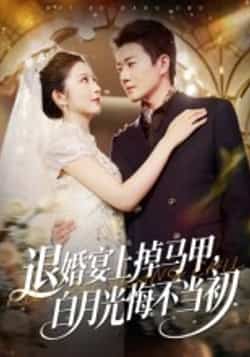 热门短剧《退婚宴上掉马甲，白月光悔不当初》 全集完整版超清免费在线观看播放未删减版资源，短剧百度网盘夸克网盘免费资源分享下载  第1张