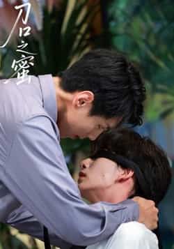 热门短剧《刀口之蜜》 全集完整版免费播放在线观看未删减版资源，短剧百度网盘夸克网盘免费资源分享下载