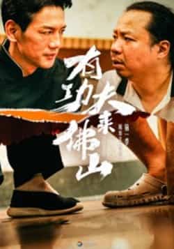 热门短剧《有功夫来佛山》 全集完整版免费无卡顿在线观看播放未删减版资源,短剧百度网盘夸克网盘免费资源分享下载