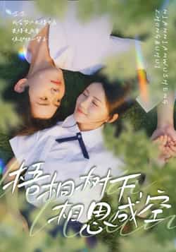 热门短剧《梧桐树下,相思成空》 全集完整版免费在线播放观看未删减版资源,短剧百度网盘夸克网盘免费资源分享下载