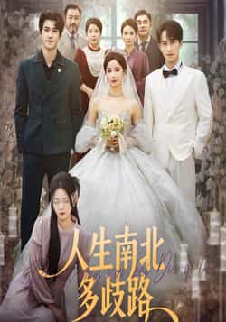 热门短剧《人生南北多歧路》 全集完整版免费无广告在线观看播放未删减版资源，短剧百度网盘夸克网盘免费资源分享下载  第1张