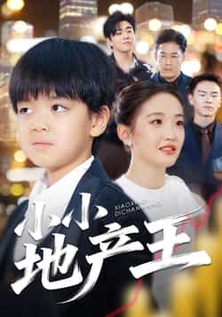 热门短剧《小小地产王》 全集完整版更新完毕免费在线观看播放未删减版资源，短剧百度网盘夸克网盘免费资源分享下载