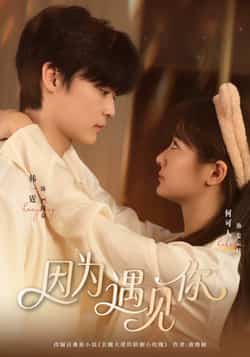 热门短剧《因为遇见你》 全集完整版更新完毕免费在线观看播放未删减版资源,短剧百度网盘夸克网盘免费资源分享下载